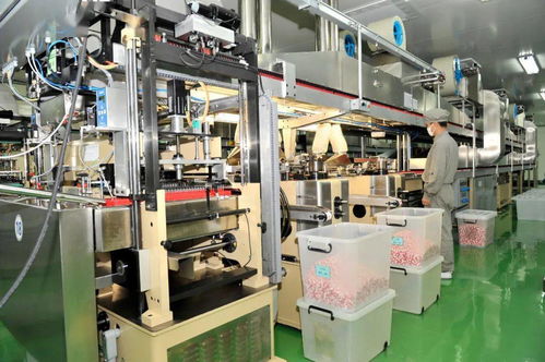 榆社強勢啟動27.6億元投資，38個重點項目聚焦生物化工技術研發