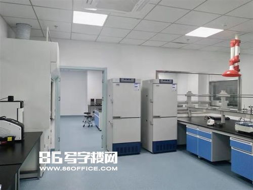 張江藥谷衡谷1976 環評齊全3000平可分割試驗研發空間出租