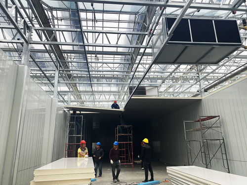 科技賦能農(nóng)業(yè)新愿景 生物化工技術(shù)引領(lǐng)的草莓植物工廠，開啟全年“草莓自由”時(shí)代